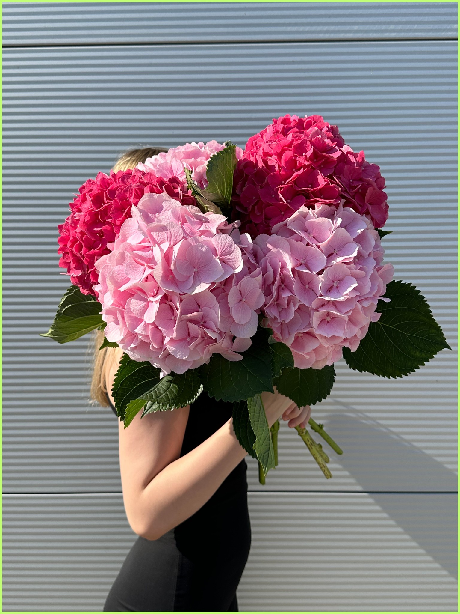 461517494_1051242886699171_1137974274351526002_n