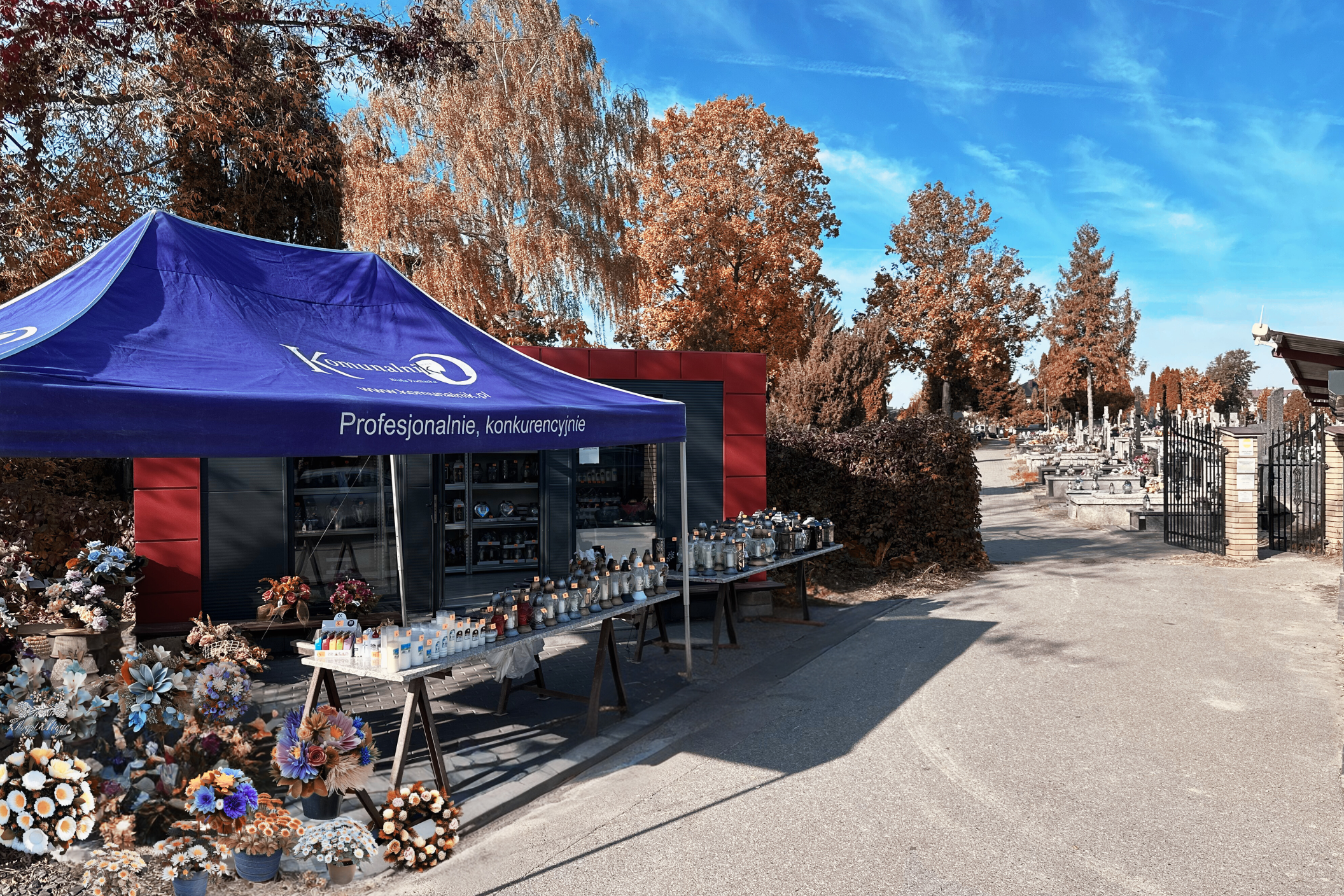 Pod Storczykiem Biała Podlaska – nowy punkt i oferta na Wszystkich Świętych